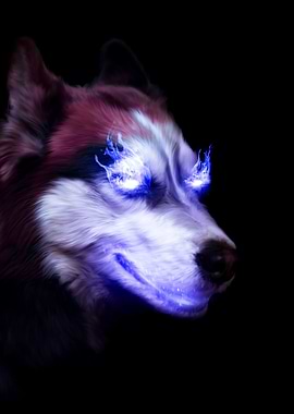 Wolf with Blue Fire Eyes