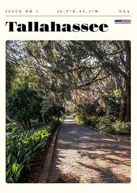 Tallahassee Florida Travel Art Poster