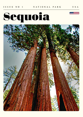 Sequoia National Park Travel Art Poster