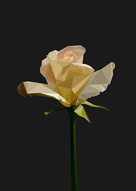 Low Poly Yellow White Rose