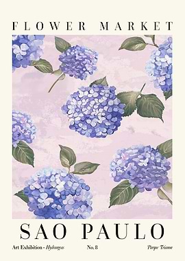 Hydrangea Sao Paulo Flower Market