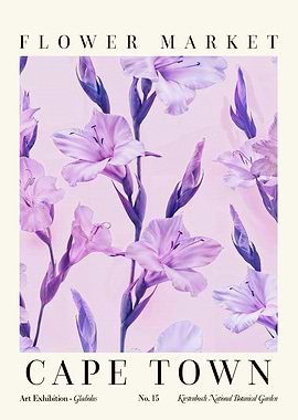Gladiolus Cape Town Flower Market