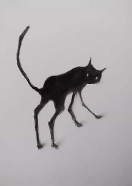Black Cat Sketch