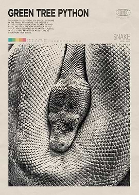 Green Tree Python Poster