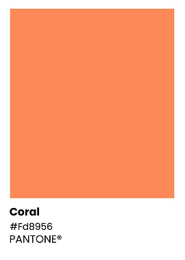 Pantone Coral Color Swatch