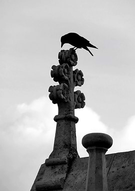 The Raven and the Cross