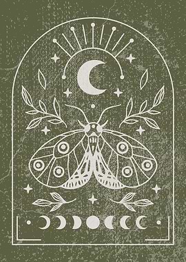 Moth and Moon Illustration