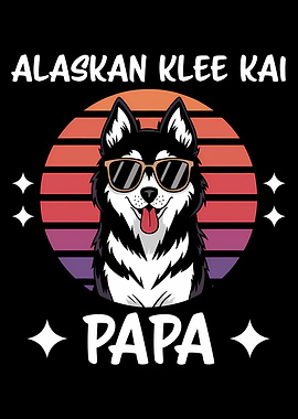 Alaskan Klee Kai Papa