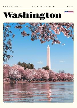 Washington DC Travel Art Poster