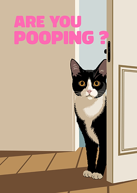 Are you Pooping funny cat
