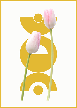 Tulips and Geometric Shapes