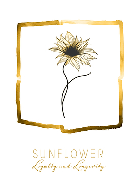 Sunflower Loyalty & Longevity