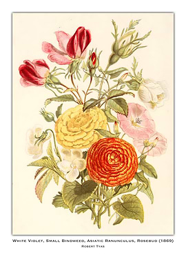 Vintage Floral Illustration