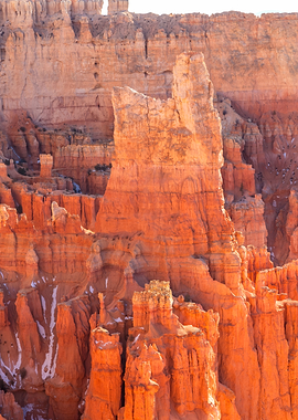 Bryce Canyon Hoodoos