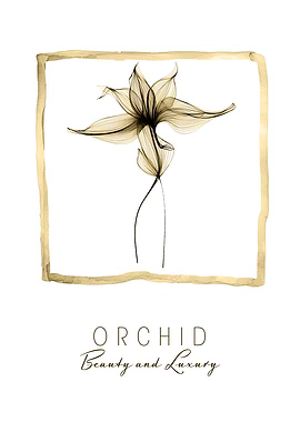 Orchid Beauty & Luxury