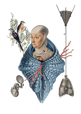 Surreal Collage with Woman in a Sea Shell