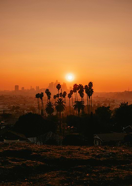 Sunset Over The City Of Angels