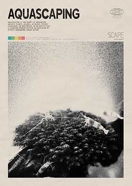 Aquascaping Planted Aquarium Poster