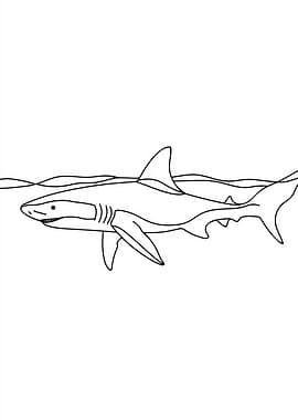 Shark Line Drawing