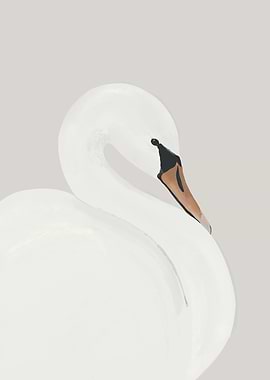 Elegant White Swan