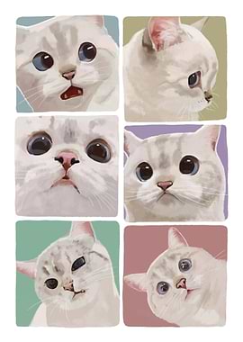 Cat Expressions Grid
