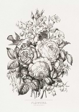 Vintage Floral Illustration