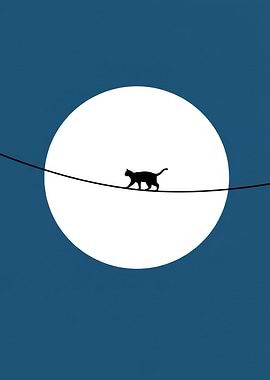 Cat on a Wire