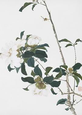 White Camellia Branch