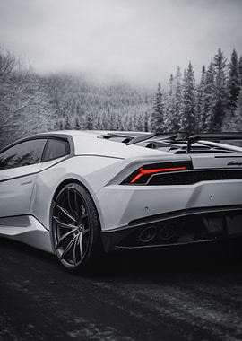 White Lamborghini in Snowy Forest