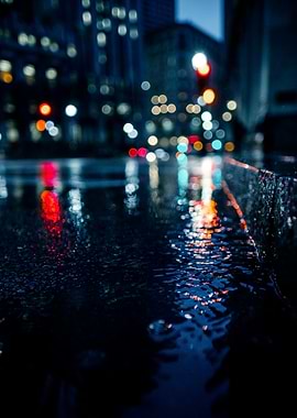 City Lights Reflection