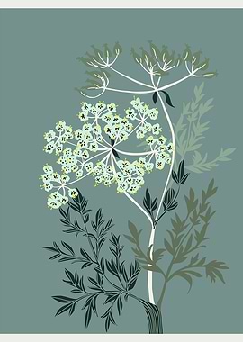 Nordic ease Queen Anne´s lace