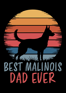 Malinois Dad Sunset