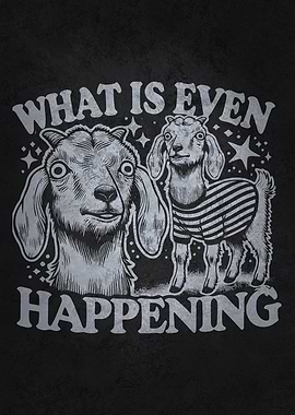 What Is Even Happening – Funny Confused Goat Meme