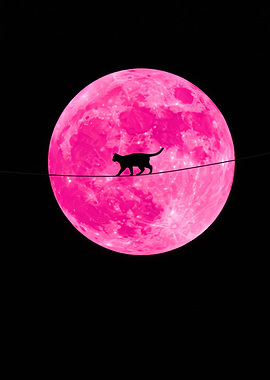 Pink Moon Cat