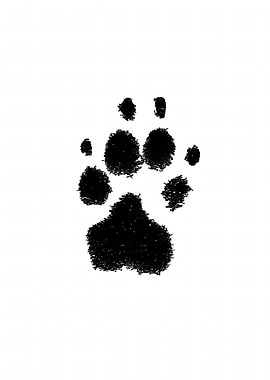 Paw print of a dog