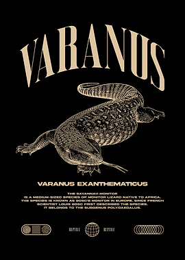 Savannah Monitor Lizard Reptile Keeper