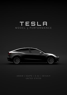 Tesla Model 3 Performance