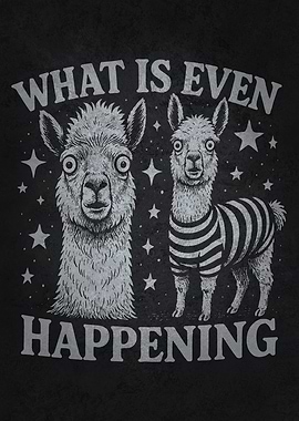 What Is Even Happening. Funny Alpaca Llama