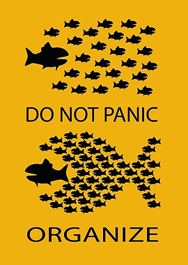 Organize, Don't Panic