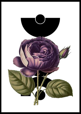 Purple Rose with Geometric Shapes