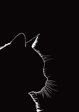 Cat Silhouette