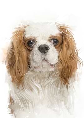 Cavalier King Charles Spaniel Portrait