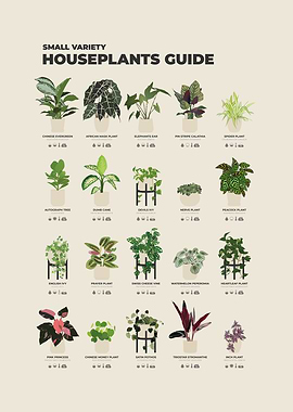 Houseplants Guide Poster