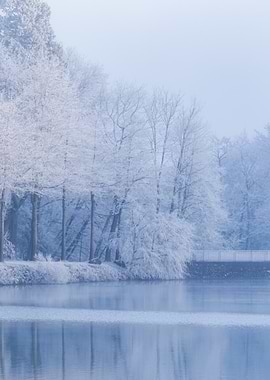 Winter Lake Landscape