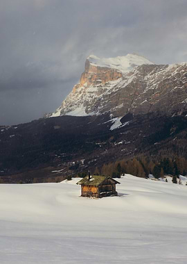 Snowy Mountain Cabin