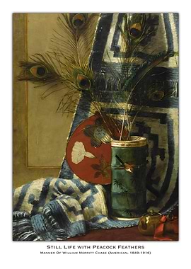 Peacock Feathers Still Life