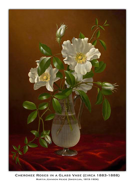 Cherokee Roses in Glass Vase