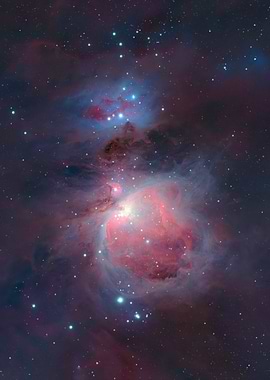 Orion Nebula