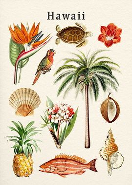 Hawaii Collection