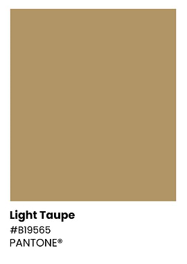Light Taupe Pantone Color